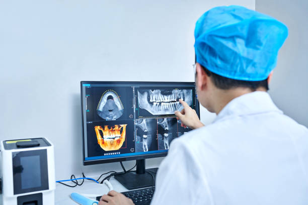 Best Emergency X-Rays and Diagnostics in Warrenvle, IL