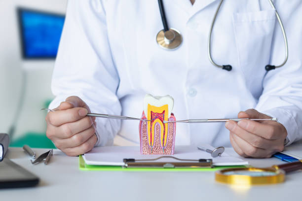 Best Urgent Dental Care for Toothaches in Warrenvle, IL
